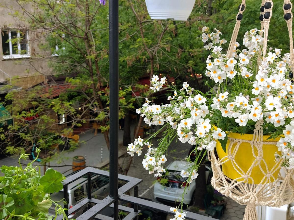 Apartment Bijoux In The Heart Of